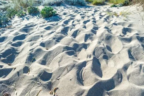 Dune of sand on the beach Stock Photos