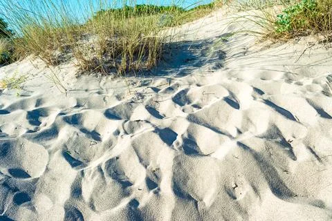 Dune of sand on the beach Stock Photos