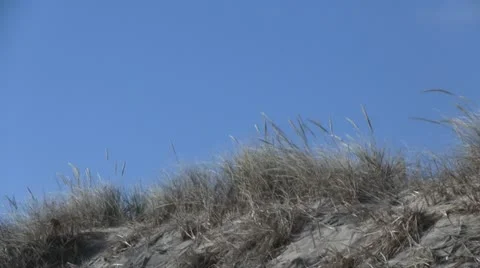 Dune on sandy beach Stock Footage 11863185