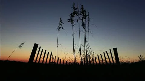 Dune silhouettes Video stock 12320819