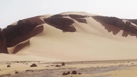 Dune with stone Stock Footage 281168467