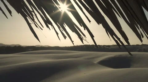 Dune sunset Stock Footage 48408788