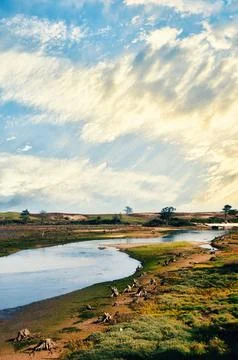 Dune system in the estuary of a river Stock Photos