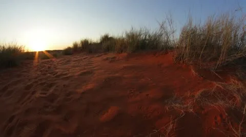 DUNE TRACK SUNSET Stock Footage 9026590