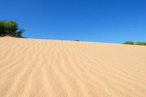 Dune with vegetation Stock Photos