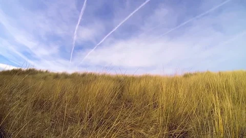 Dune wide Stock Footage 98679935