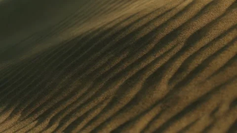 Dune, Wind, Blowing, Sand Stock Footage 304821731