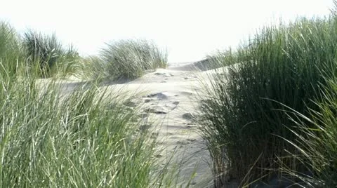 Dune with wind Stock Footage 20490107