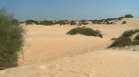 Dune12 Stock Footage 20816050