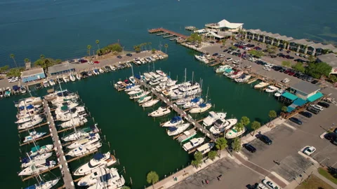 Dunedin Marina 库存影片 252206243