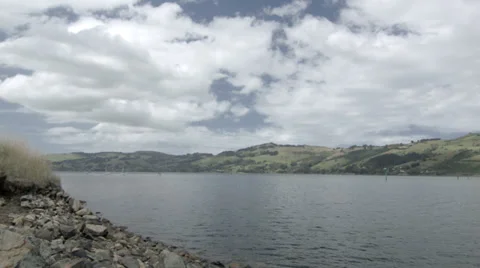 Dunedin peninsula pan Stock Footage 35236597