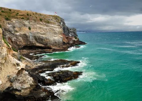 Dunedin Stock Photos