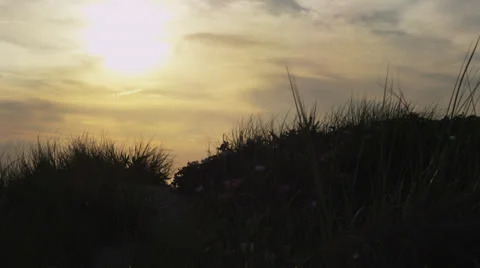 Dunegrass_sunset 스톡 동영상 39566270