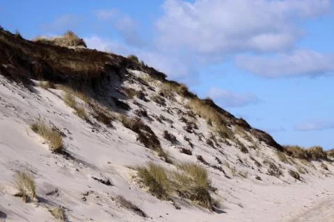 Dünenlandschaft auf Sylt Stock Photos