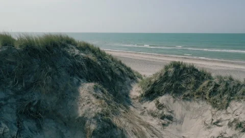 Dunes and beach Video stock 263141671