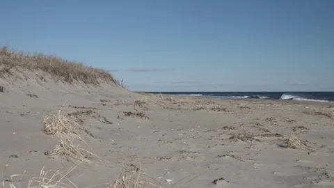 Dunes and beach on windy day Stock Footage