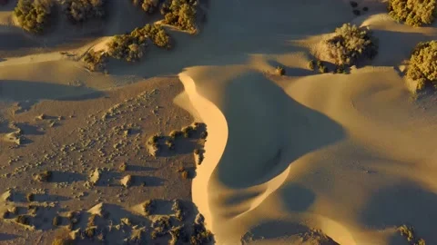 Dunes and bushes at sunset Stock Footage 138755537