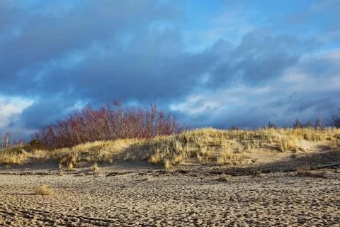 Dunes on the Baltic coast Foto stock