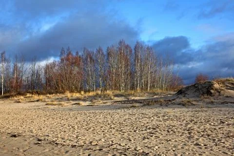 Dunes on the Baltic coast Stock Photos