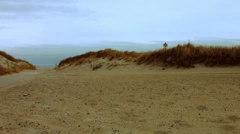 Dunes at the Beach During The Winter Stock Footage 45372597