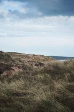 Dunes at beach Stock Photos