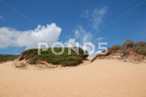 Dunes, Brazil Stock Photos