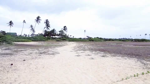 Dunes close to the Praia do Forte in Mata de Sao Joao, Bahia, Brazil Stock Footage 44185125