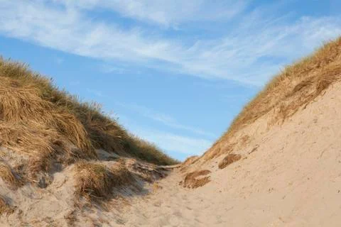 Dunes in denmark Stock Photos