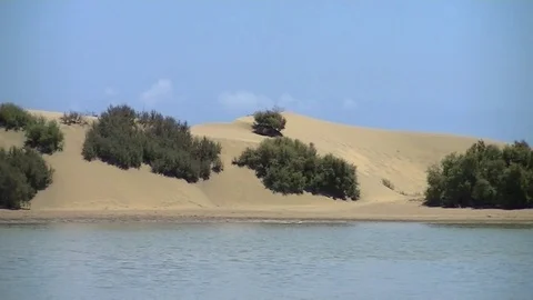 Dunes of the desert with lake Stockbeeldmateriaal 79663561