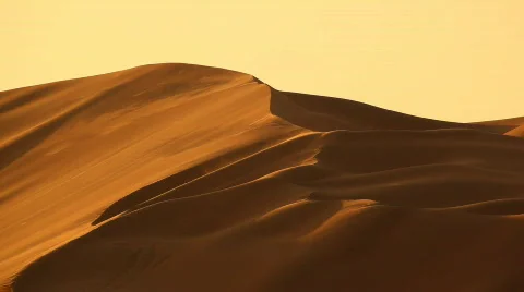 Dunes in desert with wind Stock Footage