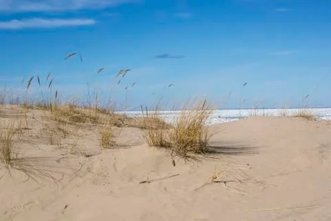 Dunes in the early spring in Jurmala Stock Photos