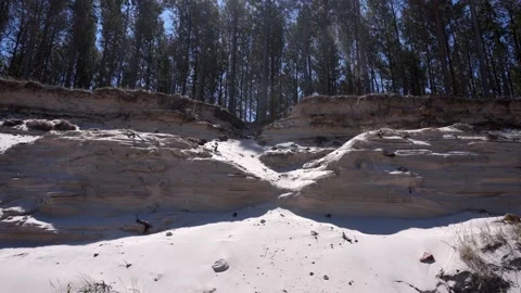 Dunes erosion at the edge of the forest Stock Footage 168906617