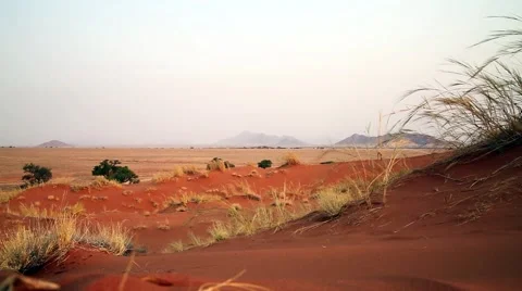 Dunes in the evening, sesriem area, namibia Stock Footage 55588552