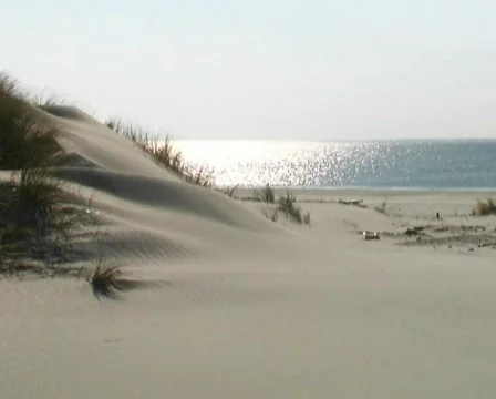 Dunes  Stock Footage 88523