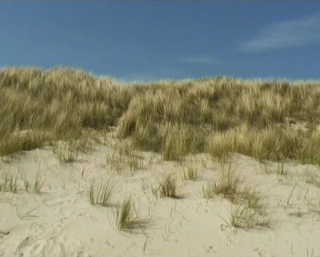 Dunes Stock Footage 88639