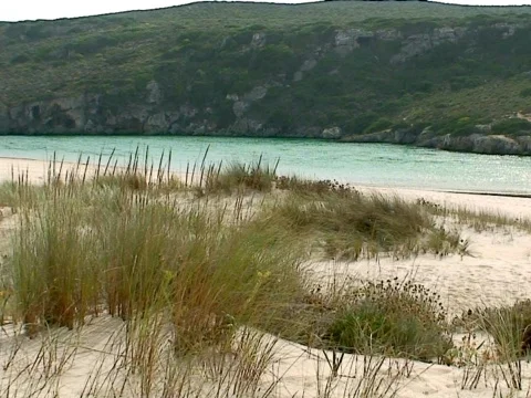 Dunes Stock Footage 489824