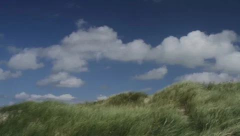 Dunes Stock Footage 8525285