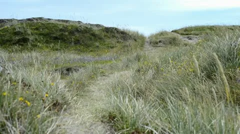 Dunes Stock Footage 20489951