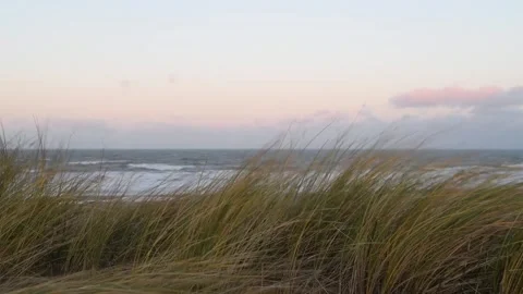 Dunes Stock Footage 221174862