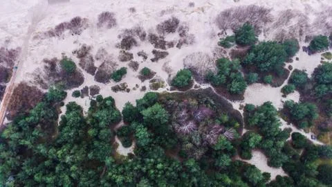 Dunes with forest top view Stock Photos