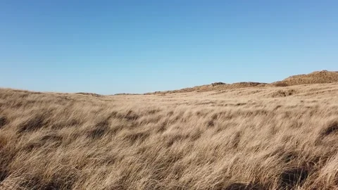 Dunes with grass and a clear blue sky Stock Footage 153057826