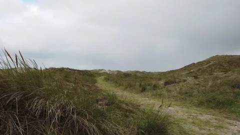 Dunes with grass and a cloudy sky Stock Footage 248632745