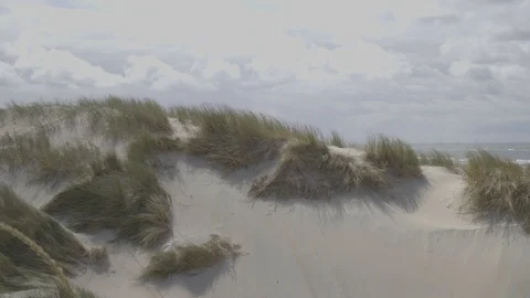 Dunes Grass blows in the wind on the Danish coast Stock Footage 94185255
