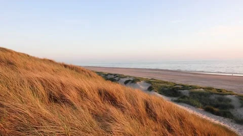 Dunes in Holland Stock Footage 218264974
