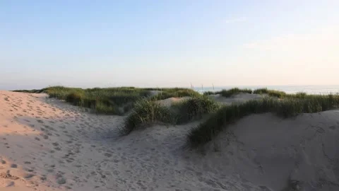 Dunes in Holland at sundown Stock Footage 218264972