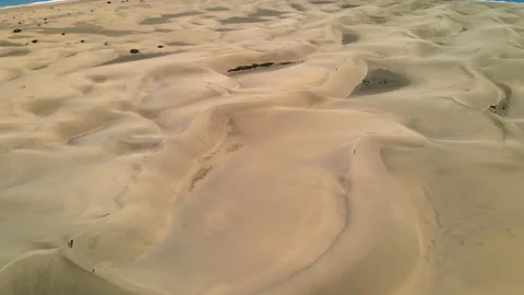 Dunes of Maspalomas Stock Footage 151388099