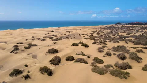 Dunes of Maspalomas Stock Footage 151388251