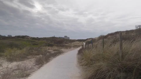 Dunes in overcast weather Video stock 150266217