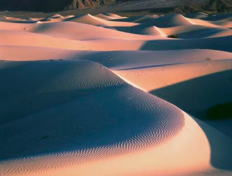 Dunes Stock Photos