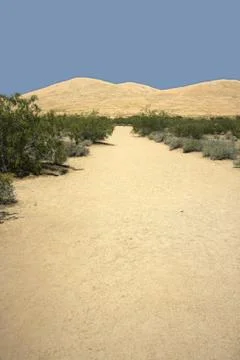 Dunes Stock Photos